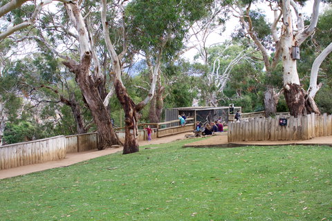 Bonorong Wildlife Sanctuary - Accommodation Daintree 2