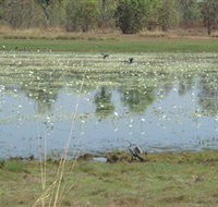 Leaning Tree Lagoon Nature Park - Accommodation Daintree