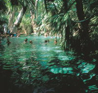 Mataranka Thermal Pool - Accommodation Daintree