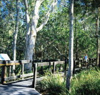 Kinaba Track - Accommodation Daintree