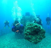 Ex-HMAS Brisbane Conservation Park - Accommodation Daintree