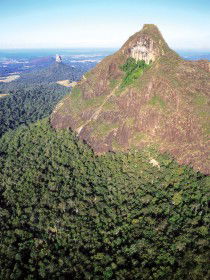 Mount Beerwah Track - Accommodation Daintree 0