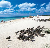 Michaelmas and Upolo Cays National Park - Accommodation Daintree