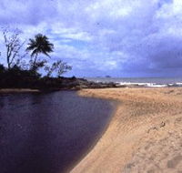 Russell River National Park - Accommodation Daintree