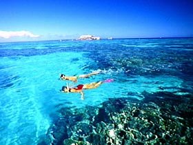 Great Barrier Reef Islands - Accommodation Daintree 0