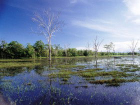 Tyto Wetlands - Accommodation Daintree 0