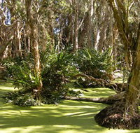 Arkarra Lagoons and Tea Gardens - Accommodation Daintree