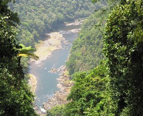 East Palmerston QLD Accommodation Daintree