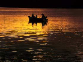 Pinnacle QLD Accommodation Daintree