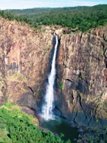 Buujan Quiinbiira Walk (Wet Tropics Great Walk) - Accommodation Daintree 0