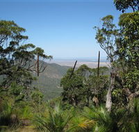 Zamia Walk - Accommodation Daintree