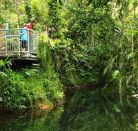Djiru National Park - Accommodation Daintree