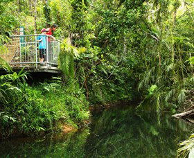 Djiru National Park - Accommodation Daintree 0