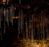 Cedar Creek Estate - Accommodation Daintree