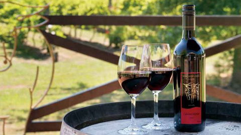 Wild Cattle Creek Estate Winery Restaurant - Accommodation Daintree 4