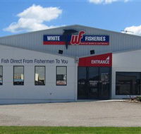 White Fisheries - Accommodation Daintree