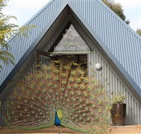 Halls Gap Zoo - Accommodation Daintree