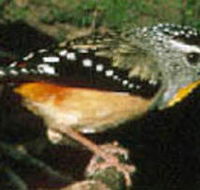 Reef Hills State Park - Accommodation Daintree