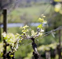 Norton Estate Wines - Accommodation Daintree