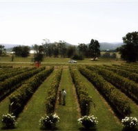 Rochford Wines - Accommodation Daintree