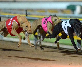 Corio VIC Accommodation Daintree