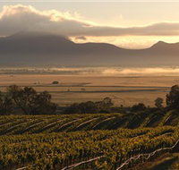 Montara Wines - Accommodation Daintree