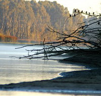 Barmah National Park - Accommodation Daintree