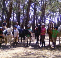 Bellarine Horse Riding Centre - Accommodation Daintree