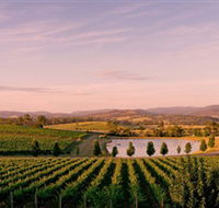 Oakridge Wines - Accommodation Daintree
