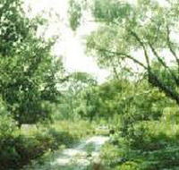 Holey Plains State Park - Accommodation Daintree