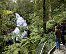 Great Otway National Park - Accommodation Daintree 0