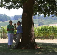 Five Oaks Vineyard - Accommodation Daintree