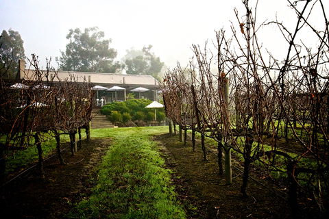 GREENSTONE VINEYARDS - Accommodation Daintree 4