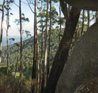 Gulaga National Park - Accommodation Daintree