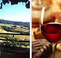 Jasper Valley Wines and Vines Cafe - Accommodation Daintree