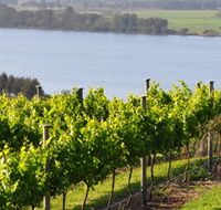 Two Figs Winery - Accommodation Daintree
