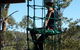 Trees Adventure Shoalhaven - thumb 0