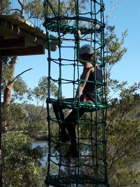 Trees Adventure Shoalhaven - Accommodation Daintree 0