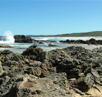 Coastal Walks - Bermagui - Accommodation Daintree