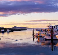 Bermagui Fishermens Wharf - Accommodation Daintree