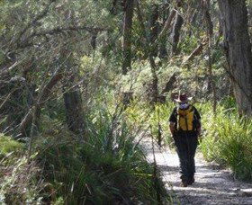 Barren Grounds Nature Reserve - Accommodation Daintree 0