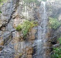 Wedding Bells Forest Drive - Accommodation Daintree
