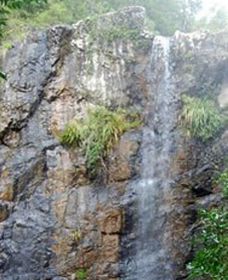 Wedding Bells Forest Drive - Accommodation Daintree 0
