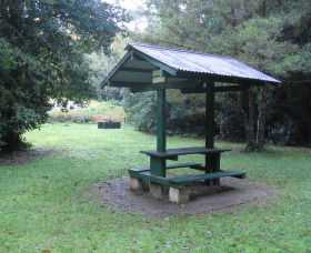 Pine Creek State Forest - Accommodation Daintree 0
