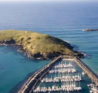 Muttonbird Island Nature Reserve - Accommodation Daintree