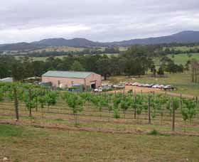 North Coast NSW Accommodation Daintree