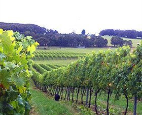 Exeter NSW Accommodation Daintree