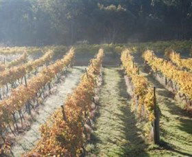 Twisted Gum Wines - Accommodation Daintree 1