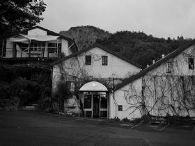 Stonyfell SA Accommodation Daintree