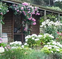 Lavina Wines - Accommodation Daintree